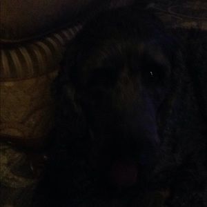 Meet your Posher, Terry